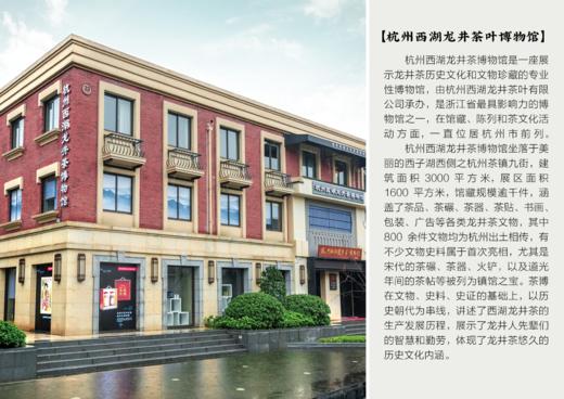 贡牌西湖龙井茶 龙王传统纸包  龙王精品/龙王特级 商品图3