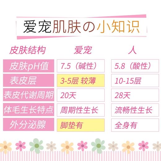 【砍价超值购】狮王进口二合一香波沐浴露自然草本香型50g*4支（随单发，单拍不发货） 商品图2