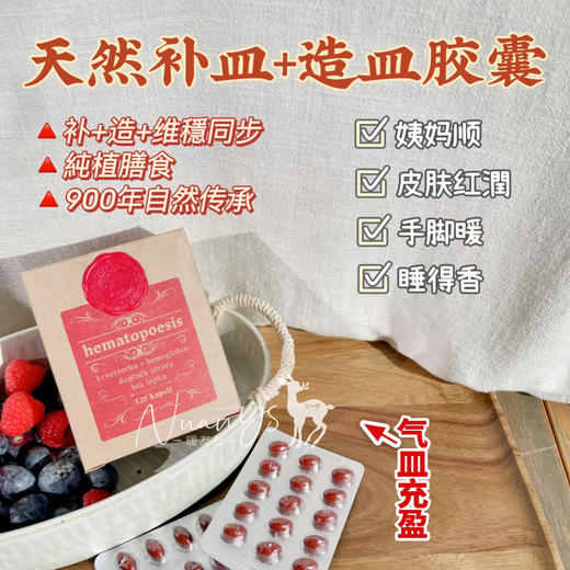 【千年传承 皿卟铁养气皿】造xue胶囊 120粒  捷克 圣希尔德佳德 商品图1