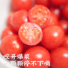 饱记生鲜珍珠甜甜小番茄釜山88品种改良新鲜皮薄鲜嫩小番茄 商品缩略图3