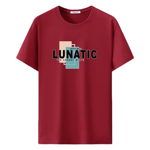 【纯棉】【新款DAL】大码夏季短袖T恤潮款圆领印花多色加肥加大男士打底上衣半袖 商品图4