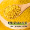 蒙清2.5kg黄小米非有机【新粮上市】 商品缩略图4