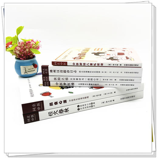 【全6册】问止中医系列丛书 林大栋 著 佛州汉唐跟诊日志师从倪海厦 经穴春秋药食心源扶阳之祖梦红楼 中国中医药出版社 商品图2