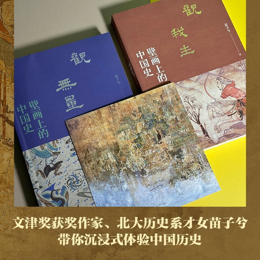 观无量：壁画上的中国史 苗子兮 著 北京大学出版社 商品图1