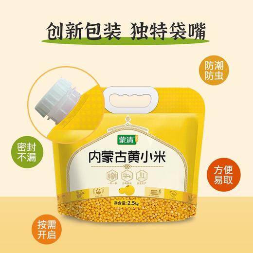 蒙清2.5kg黄小米非有机【新粮上市】 商品图7