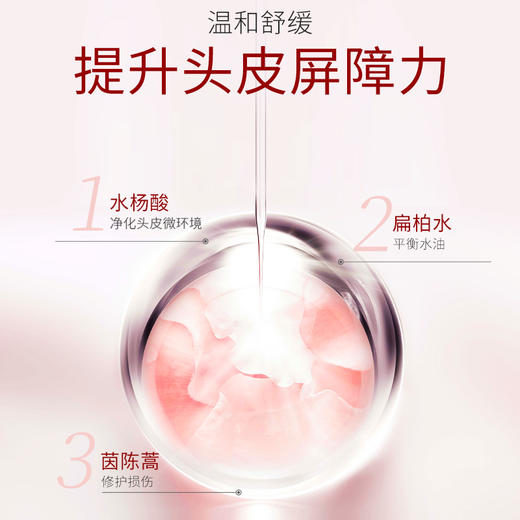 【保税仓】迷珂宝大马士革玫瑰洗发水/护发素500ml（有效期至26年6月） 商品图3