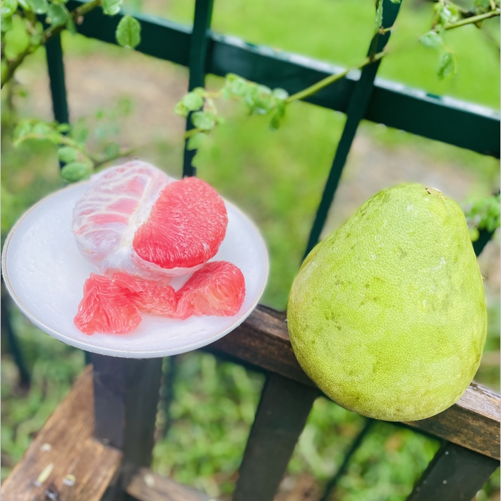 新到红宝石柚子果肉细腻颗粒饱满柔嫩，极鲜嫩多汁，大厚肉咬下去，让人飘飘欲仙，绝世鲜味呐～ 唯一的缺陷花皮，虽然长得丑但是果肉纯正！