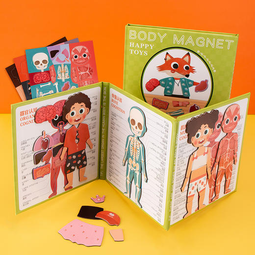 【品牌直发 骨折亏清❗️39.9任选3本】孩子的第一套启蒙认知书 幼儿园认知身体结构磁性拼图 人体结构/交通/恐龙/动物/水果等 商品图0