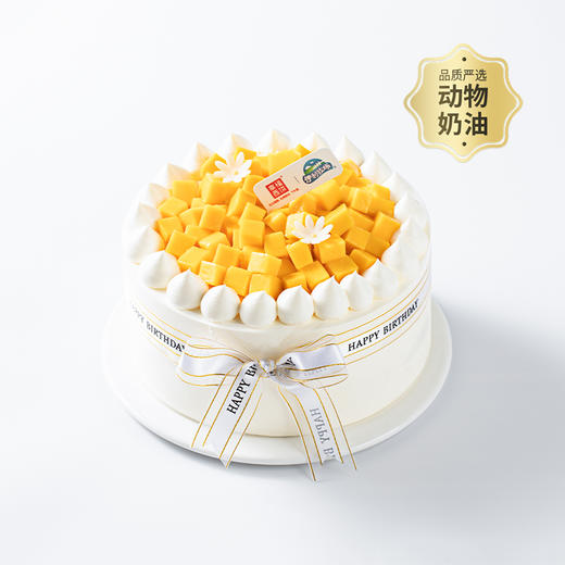 冰淇淋蛋糕四选一【鲜莓多多/鲜芒多多/巧巧欢喜/哈蜜瓜香草】伊利牧场冰淇淋搭配超软蛋糕胚，清凉一夏（昆明+安宁幸福西饼蛋糕） 商品图2