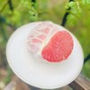 新到红宝石柚子果肉细腻颗粒饱满柔嫩，极鲜嫩多汁，大厚肉咬下去，让人飘飘欲仙，绝世鲜味呐～ 唯一的缺陷花皮，虽然长得丑但是果肉纯正！ 商品缩略图1