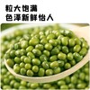 蒙清绿豆1kg新鲜可发芽 商品缩略图4