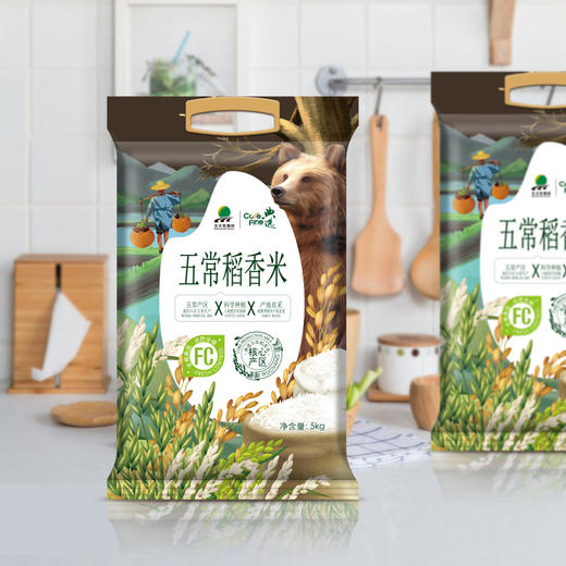 北大荒｜典选五常稻香米5kg 商品图1