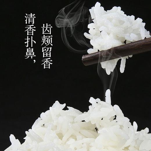 北大荒｜典选五常大米5kg 商品图1
