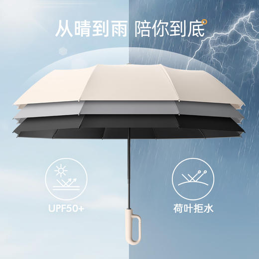 【便携环扣】晴雨两用伞UPF50+ 自动便携折叠伞户外防晒伞双人反向自动伞 40℃晒不黑 商品图4