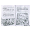 英文原版 Dragon Masters 驯龙大师 全23册  学乐大树系列 商品缩略图3