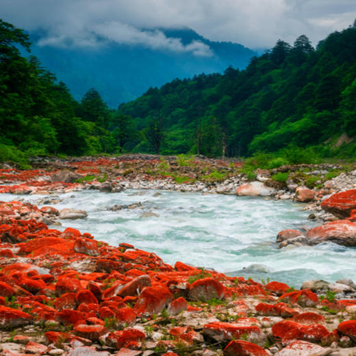 美宿 | 置身川西·四川6天5晚 商品图13