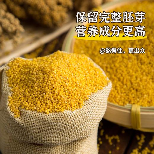 蒙清2.5kg黄小米非有机【新粮上市】 商品图5