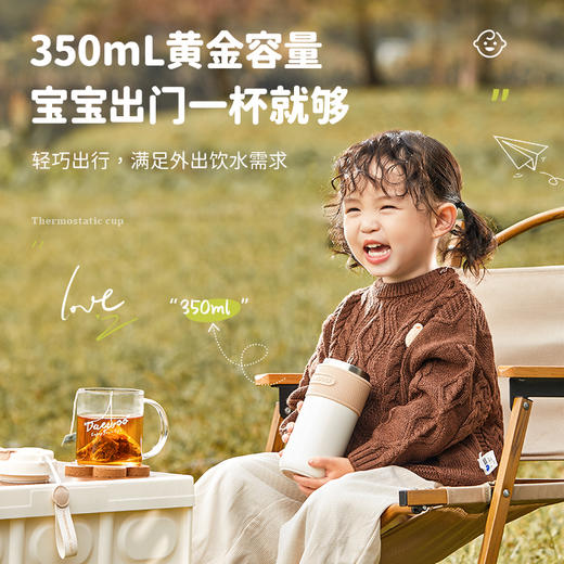 大宇恒温水壶便携烧水杯家用婴儿专用泡奶机D12 商品图2