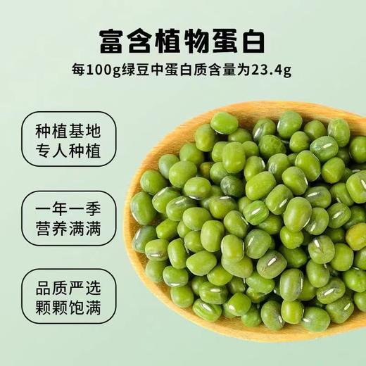 蒙清绿豆1kg新鲜可发芽 商品图2