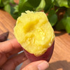 农家贡薯   口感细腻香甜 几乎无薯丝  适合蒸着吃的红薯  3斤装 商品缩略图3