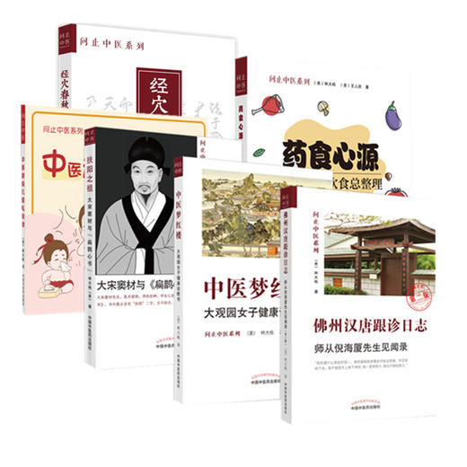 【全6册】问止中医系列丛书 林大栋 著 佛州汉唐跟诊日志师从倪海厦 经穴春秋药食心源扶阳之祖梦红楼 中国中医药出版社 商品图4