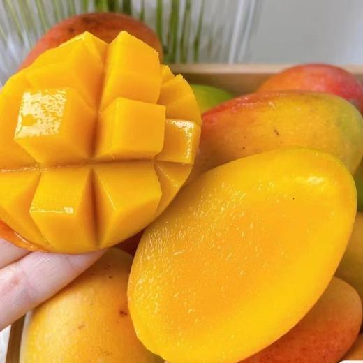 【树上熟贵妃芒】真正树上成熟，尖头冒黄采摘，生长成熟期约150天，比其他贵妃长30天，皮薄 肉厚，口感天花板 商品图4