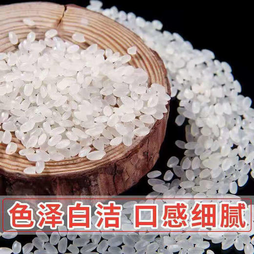 北大荒·大荒清泉东北寒地香米5Kg 商品图3