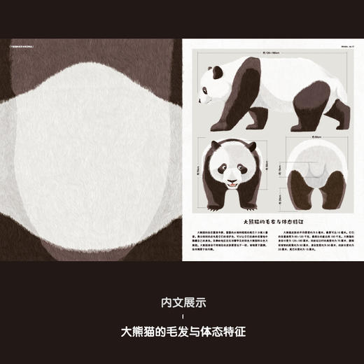 中国符号系列：东方有龙+大熊猫 商品图7