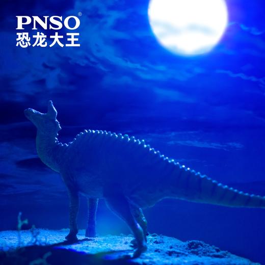 PNSO恐龙大王成长陪伴模型24青岛龙小琴 商品图2