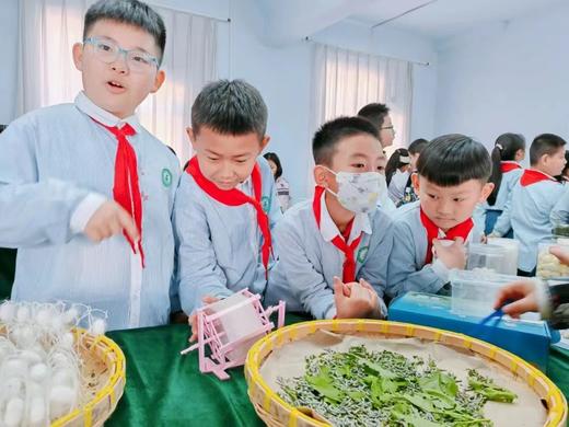 桑园公社~家门口的桑蚕文化体验活动 商品图2