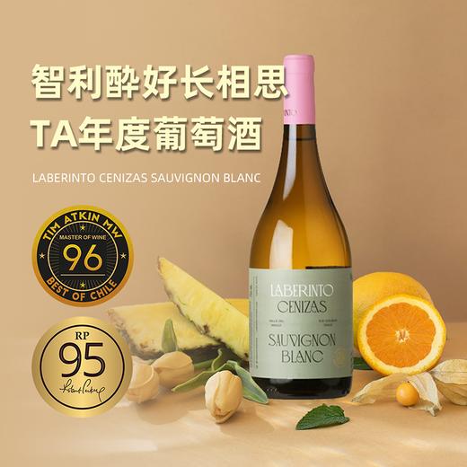 TA96&年度之酒！智利酔好/酔具价值长相思之一!迷宫长相思白葡萄酒 Laberinto Cenizas Sauvignon Blanc 2022 商品图1