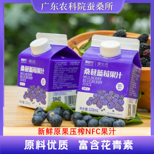 果舒元 100%桑葚蓝莓果汁  328ml*8盒/箱 商品图0