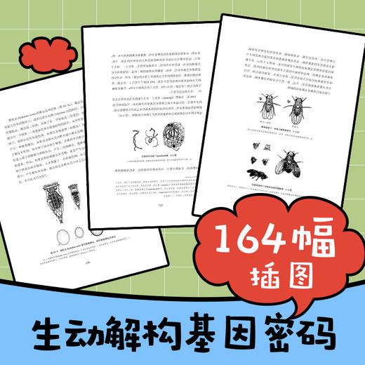 基因论 商品图3