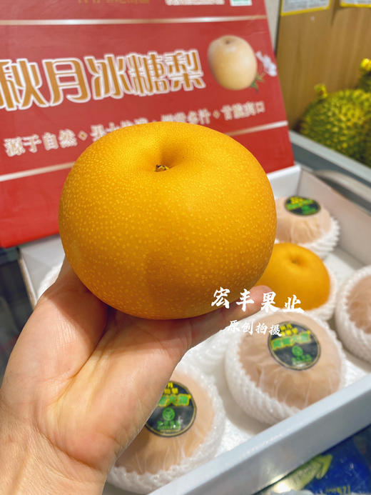 青青大地品牌秋月梨 口感嫩甜 商品图1