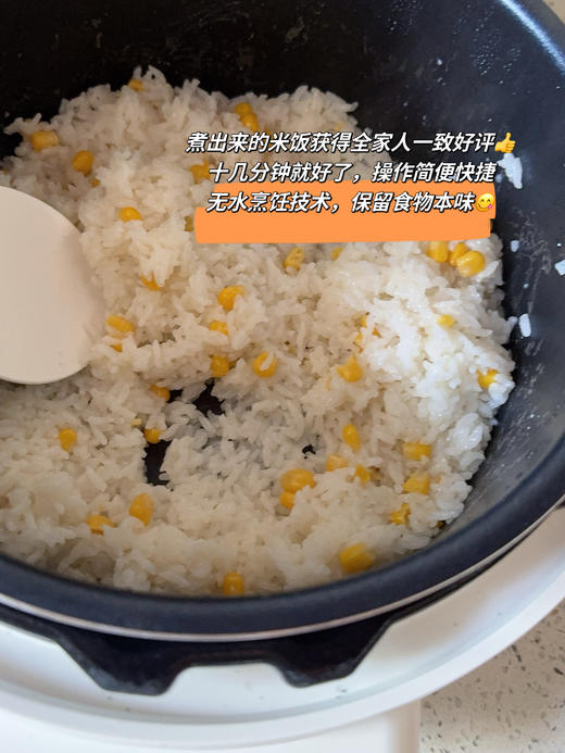花痴推荐爱丽思多功能电压力锅&电饭煲！醉新篙配版！点阵屏选择按钮控制 一锅7用可做菜‼️安全智能，煮饭香甜软糯，不粘锅，多种模式操作简便，安筌泄压，自动清洗解放双手~ 商品图4