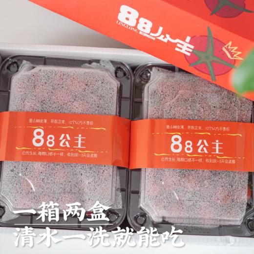 饱记生鲜珍珠甜甜小番茄釜山88品种改良新鲜皮薄鲜嫩小番茄 商品图4
