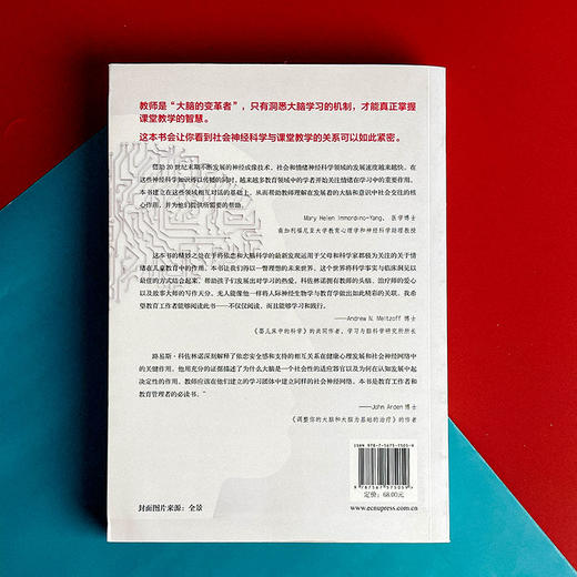 优化课堂中的依恋与学习 儿童教育 大脑神经可塑性带来的启示  心智 脑与教育译丛 商品图2