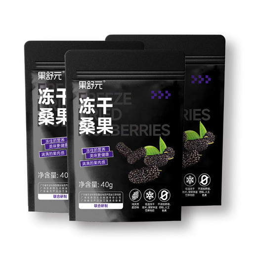 果舒元 原味桑葚冻干3袋（套装）  40g/袋*3袋 商品图2