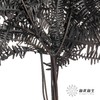 永生花材 ｜ 芒其叶黑色 商品缩略图2