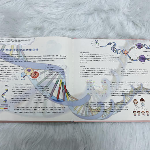 孩子读得懂的人体奥秘 商品图1