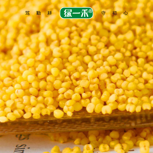 【绿一禾】小米礼盒2500g 商品图4