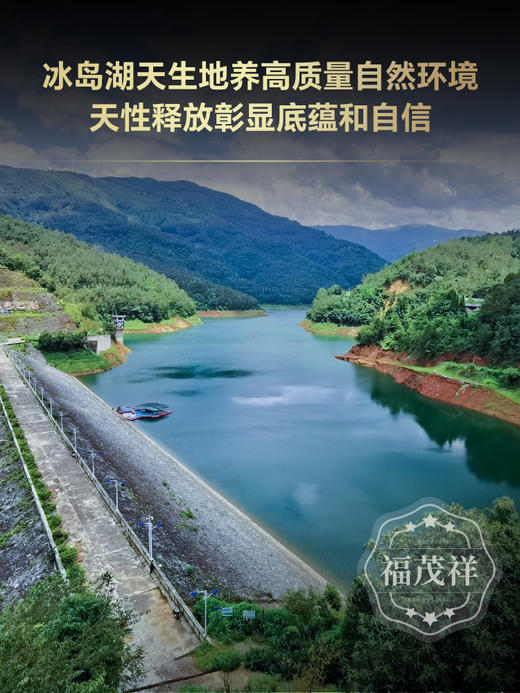 【2024年春茶】【冰岛母树】冰岛老寨的始祖 顶级冰岛古树单株茶 一生必喝一次 2024年春茶临沧冰岛老寨古树纯料普洱生茶357g饼茶 一饼一码 商品图1