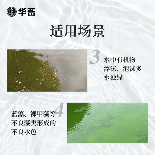 华畜20%改底净10kg 净化水质 改底除臭 氧化有害物质 1桶可用100亩 商品图3