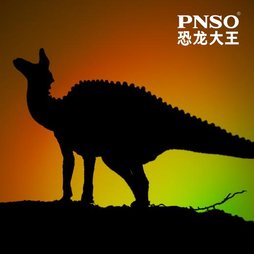 PNSO恐龙大王成长陪伴模型24青岛龙小琴 商品图3