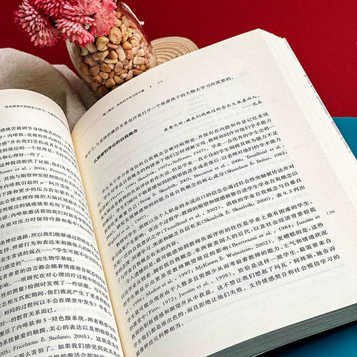 优化课堂中的依恋与学习 儿童教育 大脑神经可塑性带来的启示  心智 脑与教育译丛 商品图8