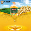 邻家饭香 压榨一级浓香花生油 5L/桶 LJFX176 商品缩略图1