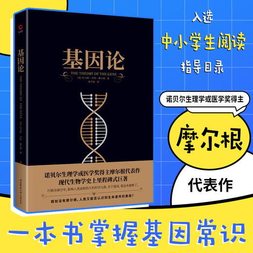 基因论 商品图4