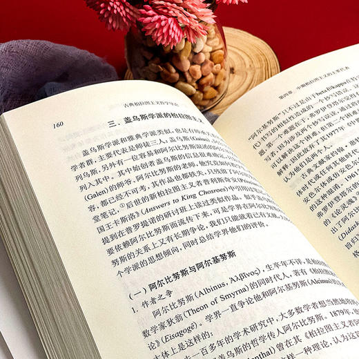 古典柏拉图主义哲学导论 梁中和著 大学通识读本  望江柏拉图研究译丛 商品图12