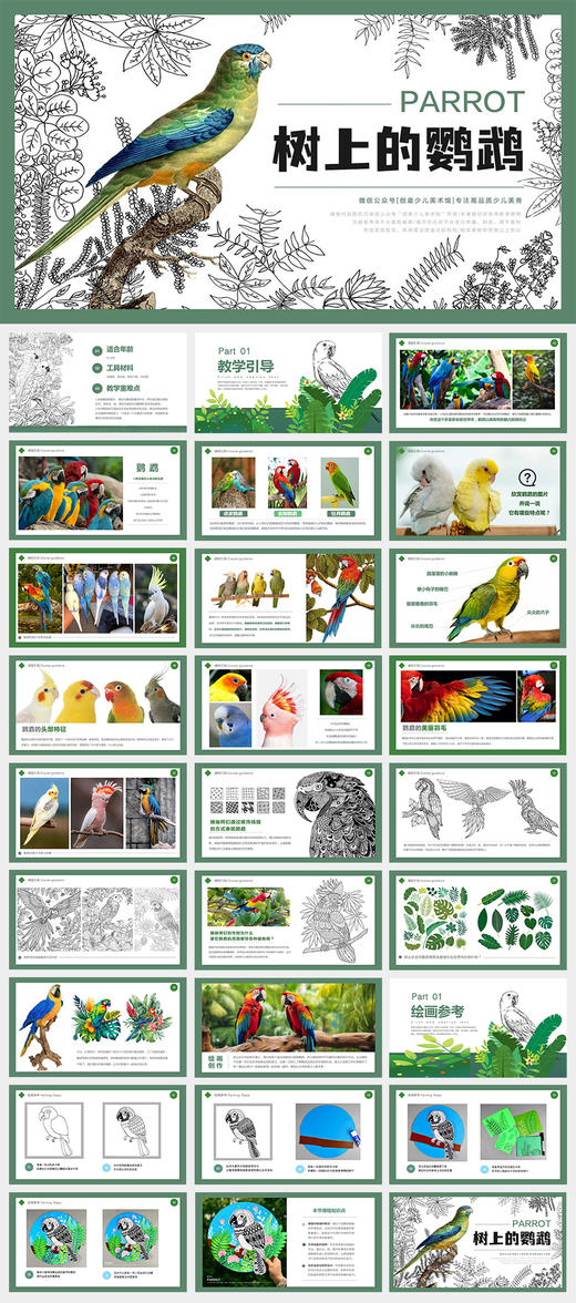 《鹦鹉的故事：保护我们彩色的朋友》线描/鸟/植物/叶子/自动发货：下单后，点击手机短信中收到的链接，即可获取文件下载的链接；如有任何问题，可添加客服微信hm33268获得帮助。 商品图1