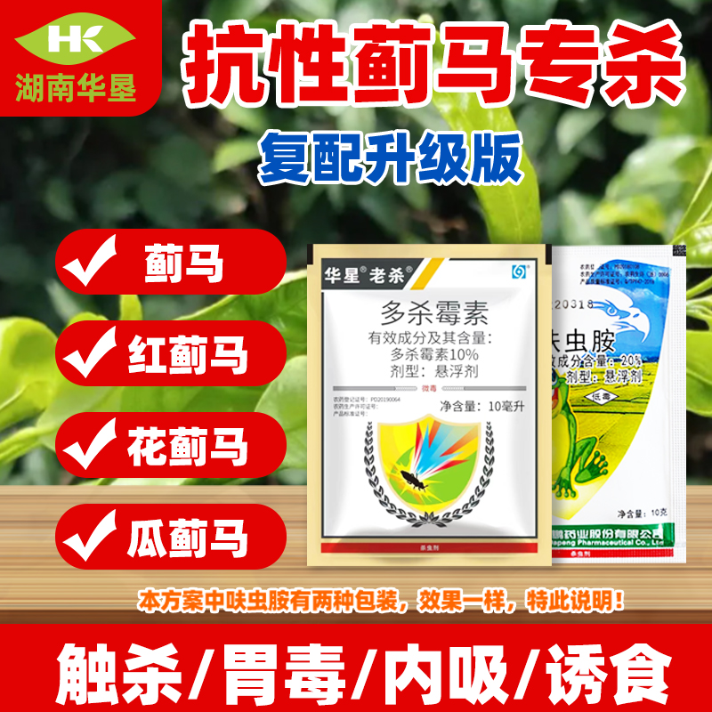 蓟马专杀方案 种植杀虫防治茄子蓟马专用杀虫剂组合农田农用